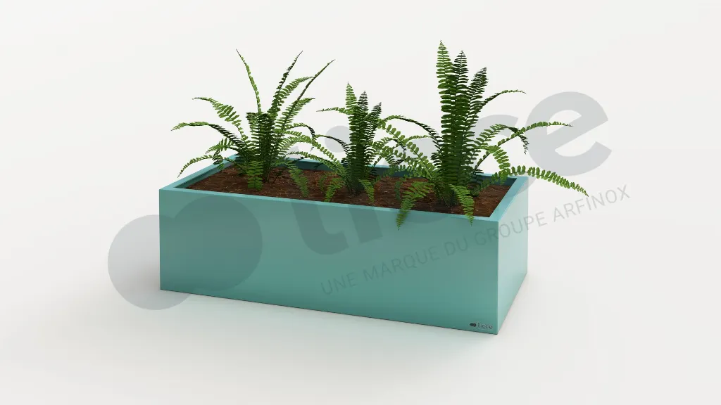 1000x500x300_5024.webp