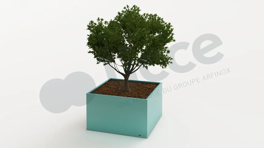1000x1000x590_5024.webp
