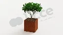 1000x1000x970_corten.webp